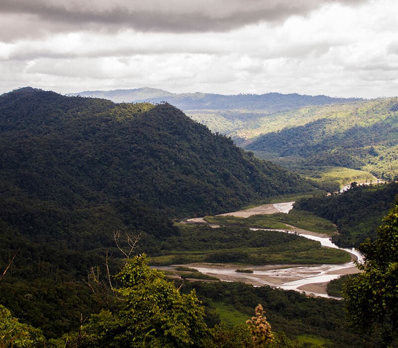 The amazon jungle tour in Ecuador 