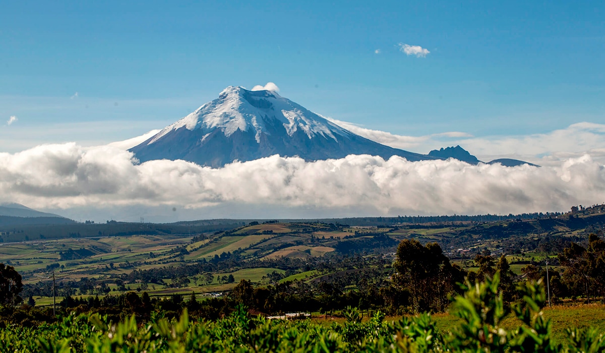 All you need to know about Cotopaxi National Park - Wanderbus Ecuador